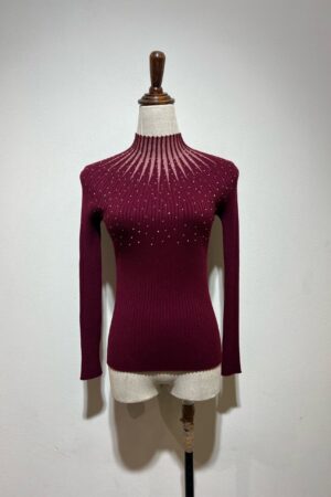 Burgundy glitter top