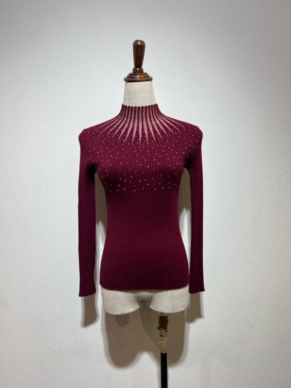 Burgundy glitter top